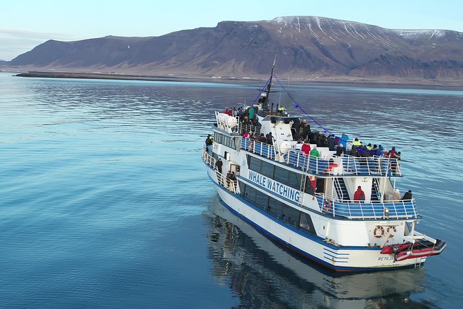 Whale-Watching Boat Tour with Expert Guide from Reykjavik - ReykjavĂk Whale Watching That Actually Keeps You Warm (and Searching)