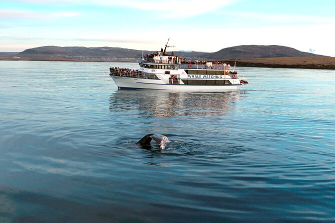 Whale-Watching Boat Tour with Expert Guide from Reykjavik - The Boat Ride: Deck Views, Indoor Backup, and the Search Pattern