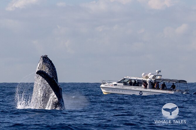 Whale Watching Boat Trip in Sydney - From King Street Wharf to open ocean: how the trip really starts