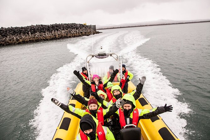 Whale Watching by RIB Speedboat from Downtown Reykjavik - Key things to know before you go