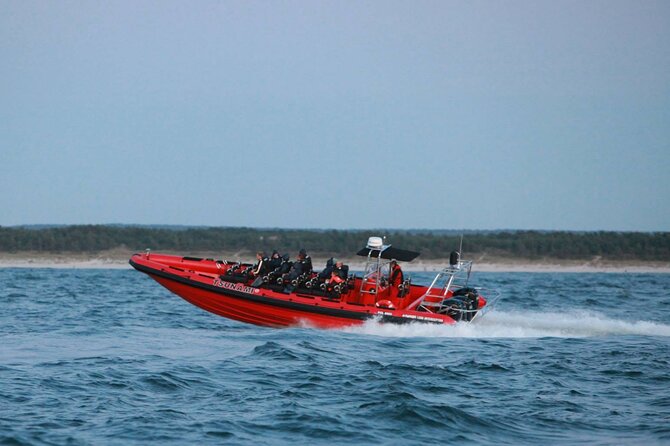 Whale Watching by RIB Speedboat from Downtown Reykjavik - What the whale-watching part feels like on a small RIB