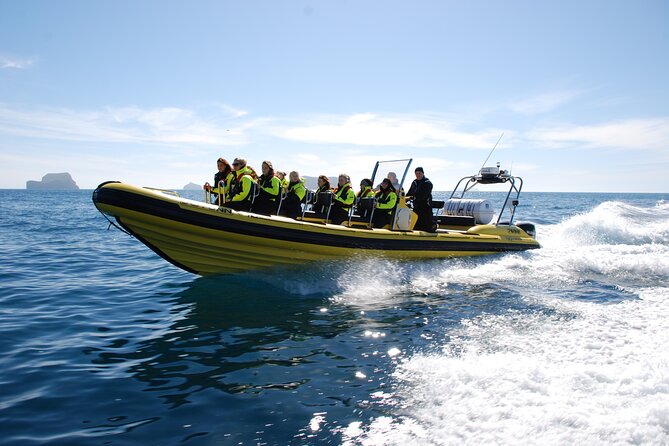 Whale Watching by RIB Speedboat from Downtown Reykjavik - Staying warm and dry: the gear is included, but your habits matter