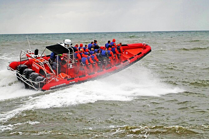 Whale Watching by RIB Speedboat from Downtown Reykjavik - What you can realistically see: whales, dolphins, and more in Faxafloi Bay
