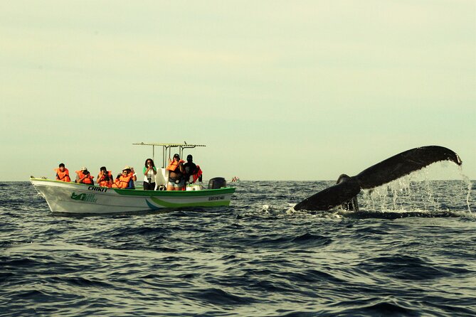 Whale Watching Cabo-Women crew-Sightings Guaranteed & Free Photos - Cabo Whale Watching That Stays Personal (Not Packed)