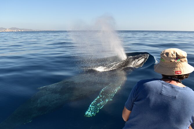 Whale Watching Cabo-Women crew-Sightings Guaranteed & Free Photos - Two Hours at Sea: Sea of Cortez or the Pacific Side