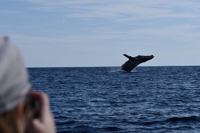 Whale Watching Cabo-Women crew-Sightings Guaranteed & Free Photos - Price and Value: What $100.15 Buys You in Cabo