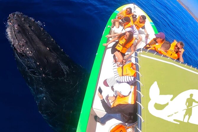 Whale Watching Cabo-Women crew-Sightings Guaranteed & Free Photos - Who This Whale Watch Fits Best (And Who Should Skip It)