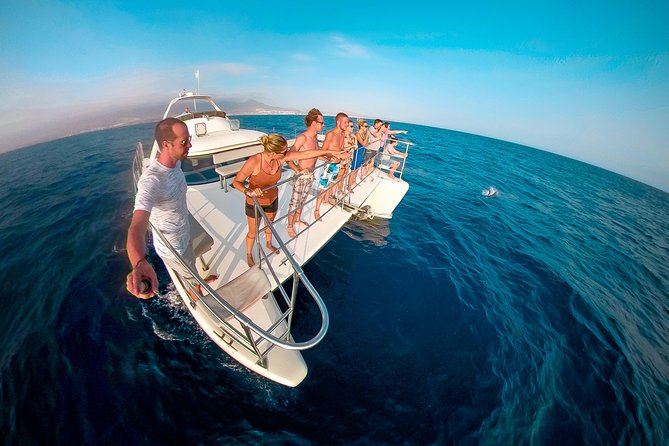 Whale Watching Catamaran Cruise with Transfer, Buffet by MC - Key points to know before you go