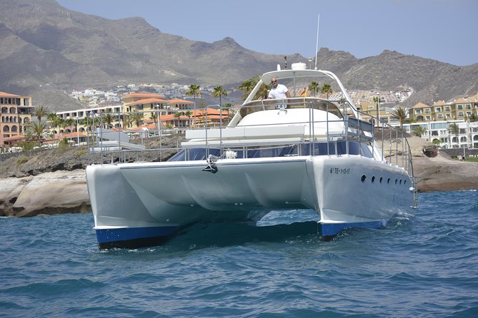 Whale Watching Catamaran Cruise with Transfer, Buffet by MC - Getting there: transfers that actually simplify your morning