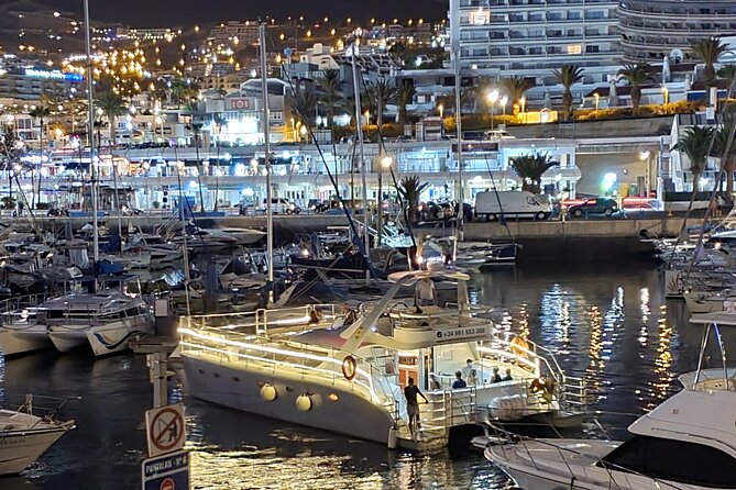 Whale Watching Catamaran Cruise with Transfer, Buffet by MC - Price and value at about $71.35: what you’re really getting