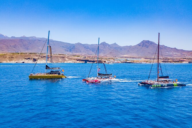 Whale Watching Catamaran in Costa Adeje (Including drinks & Sandwich) - Drinks and sandwiches: where the value really shows
