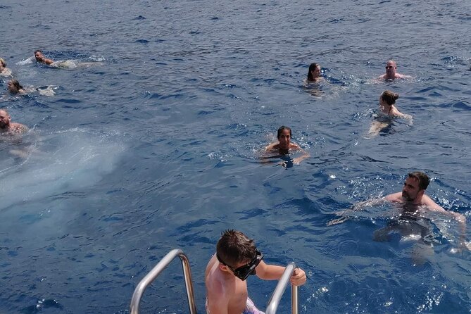 Whale Watching Catamaran in Costa Adeje (Including drinks & Sandwich) - The common downsides: crowding, sunbed fees, and what can go wrong