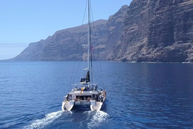 Whale Watching Catamaran to Los Gigantes & Masca (Including drinks & warm lunch) - Key things to know before you go