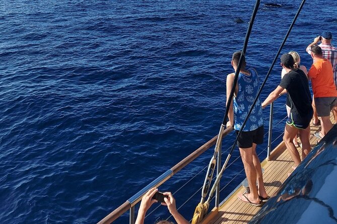 Whale Watching Catamaran to Los Gigantes & Masca (Including drinks & warm lunch) - What’s included in lunch and drinks (and what to expect in real life)