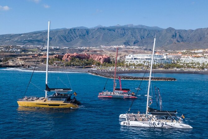 Whale Watching Catamaran to Los Gigantes & Masca (Including drinks & warm lunch) - Comfort on open water: how to reduce the seasickness odds