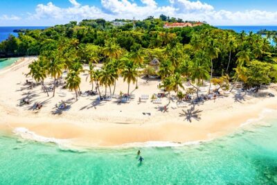 Whale Watching, Cayo Levantado and Limón Waterfall in Samaná - Whale watching in Samaná: what you’re signing up for