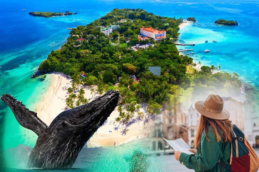 Whale Watching + Cayo Levantado - The Day’s Timing: From 8:30 AM Meet to 4:30 PM Return