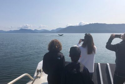 Whale Watching Charters and Bear search through Icy Strat Alaska - Captain Billy and the Onboard Talk: More Than Just Spotting