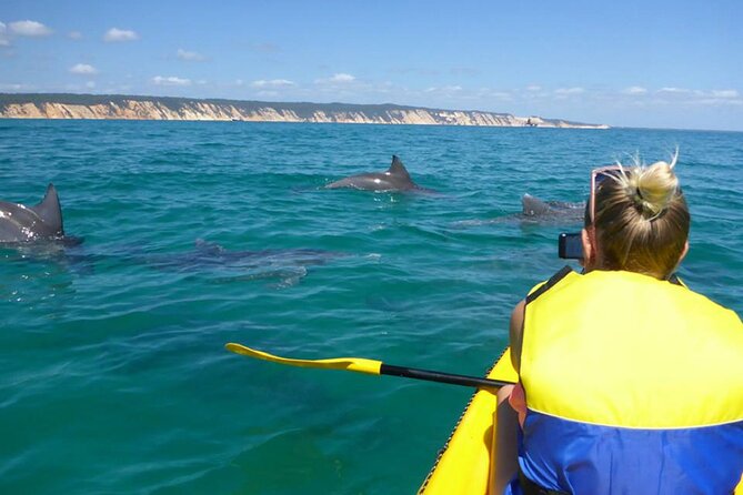 Whale Watching Cruise from Mooloolaba - Comfort onboard: ex-commercial vessel, steady ride, and included snacks