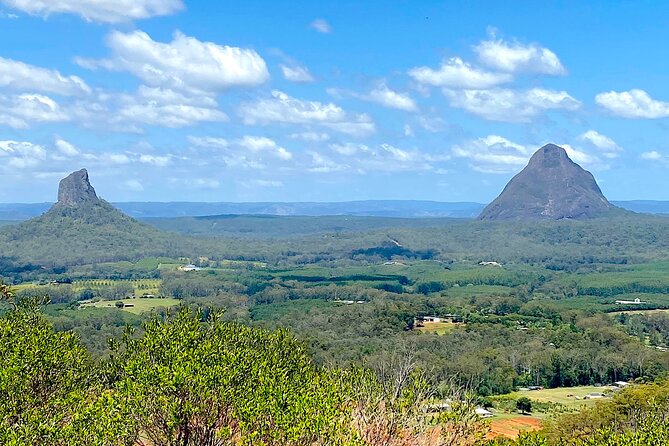 Whale Watching Cruise from Mooloolaba - Price and value: is $71 worth it for 3 hours?