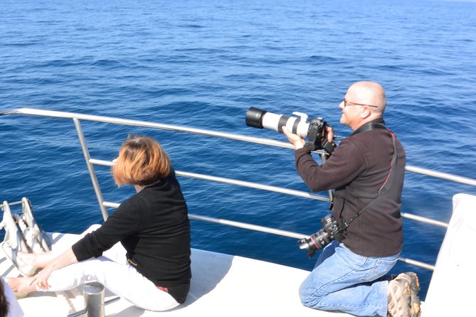 Whale Watching Cruise from Mooloolaba - Who this whale watching cruise fits best
