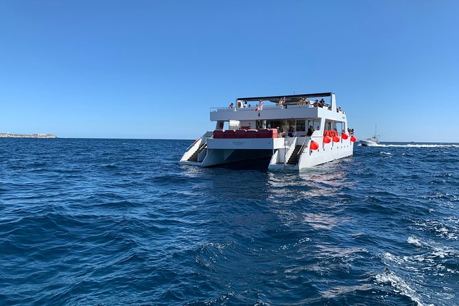 Whale Watching Cruise in Cabos San Lucas and Ground Transportation - What’s Included: Food/Drinks, Water, and the “Realistic Extras” List