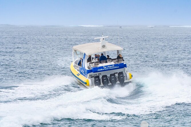 Whale Watching Cruise in New South Wales - What the boat ride is like: family-friendly, but plan for motion