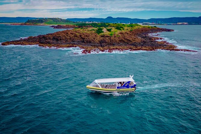 Whale Watching Cruise in New South Wales - Whale watching value at $56.66: what you’re paying for