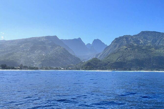 Whale watching DE Humpback West Coast of Tahiti - Morning off Taapuna: where the whale watch starts