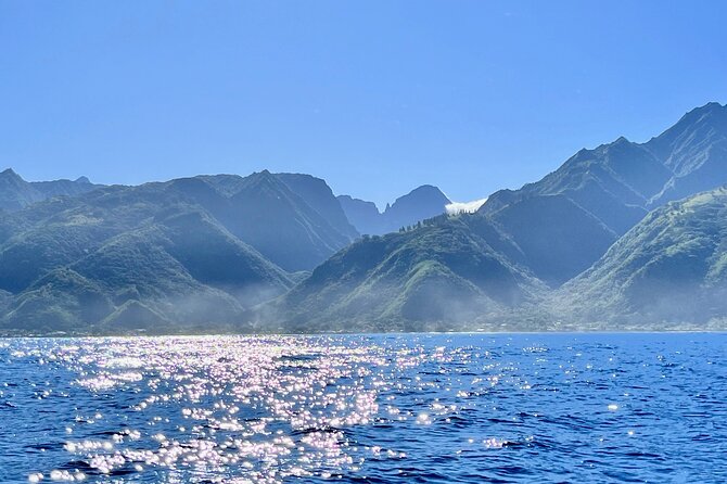 Whale watching DE Humpback West Coast of Tahiti - Planning tips for an easy, successful whale morning