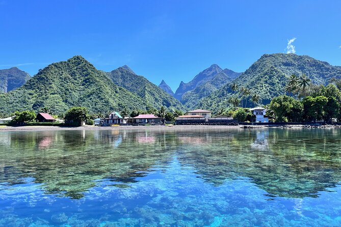 Whale watching DE Tahiti Peninsula - Key Highlights