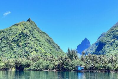 Whale watching DE Tahiti Peninsula - The Crew Makes It: Guide Rules, Captain Control, and Romuald’s Reputation
