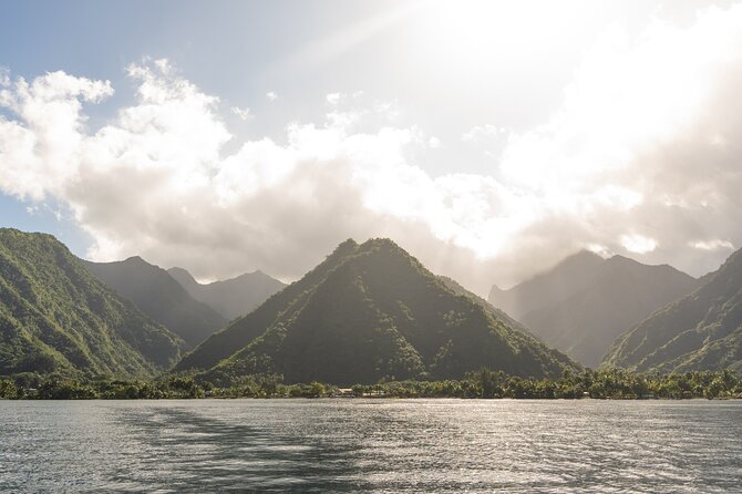 Whale watching DE Tahiti Peninsula - Where You’re Actually Spending the Time (And What to Watch For)