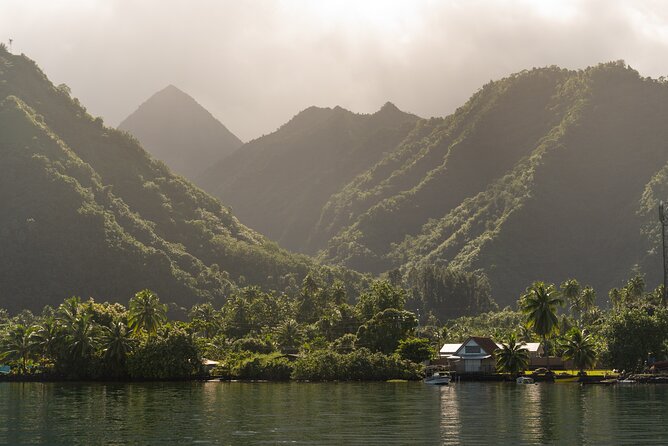 Whale watching DE Tahiti Peninsula - Who Should Book This (And Who Should Skip the Launch)