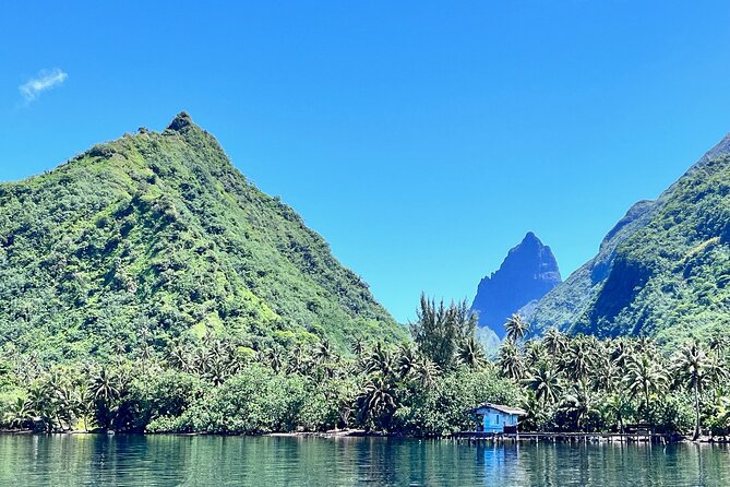 Whale watching DE Tahiti Peninsula - The Crew Makes It: Guide Rules, Captain Control, and Romuald’s Reputation