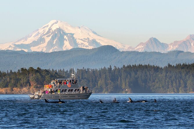Whale Watching + Deception Pass Tour from Seattle - Key things you’ll notice on this tour