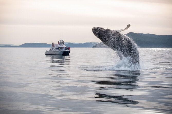 Whale Watching + Deception Pass Tour from Seattle - Deception Pass State Park: old-growth trails plus rocky coastline views