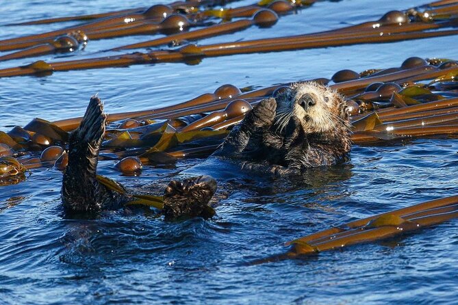Whale Watching + Deception Pass Tour from Seattle - The food and small comforts that make a long day feel worth it