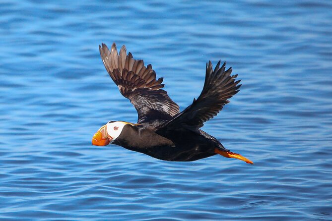 Whale Watching + Deception Pass Tour from Seattle - Weather, clothing, and comfort: your best prep for wind and wet decks