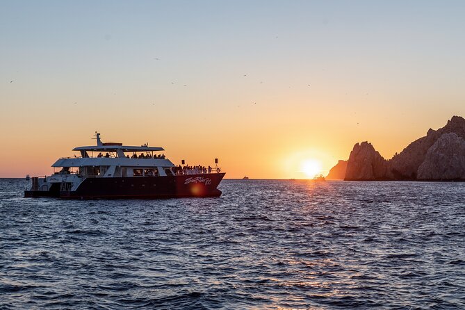 Whale Watching Dinner Cruise in Cabo San Lucas - Who Should Book This Cruise (and Who Might Skip It)