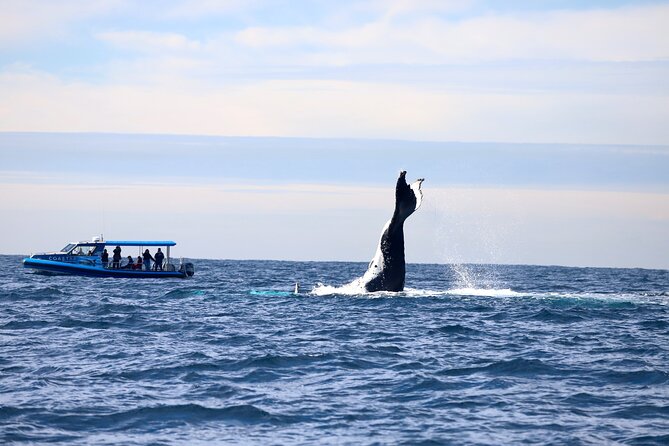 Whale Watching Discovery Tour from Lake Macquarie - Getting onto the water: Swansea’s jetty, then offshore