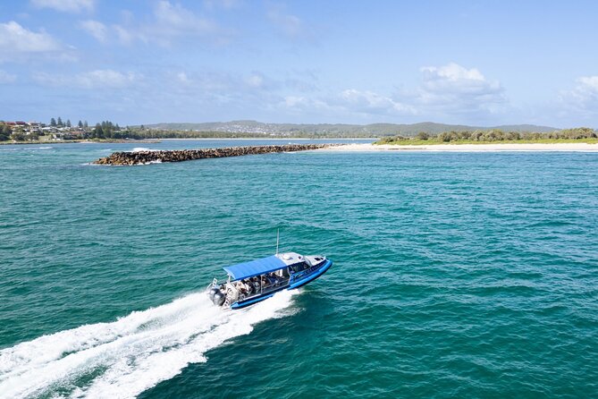 Whale Watching Discovery Tour from Lake Macquarie - Logistics that actually matter on a boat day
