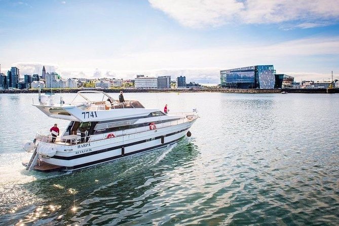 Whale Watching & Dolphin Yacht Cruise - Key Highlights Worth Your Time