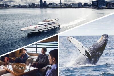 Whale Watching & Dolphin Yacht Cruise - Onboard Deck Strategy: How to Get Great Views Without Stress
