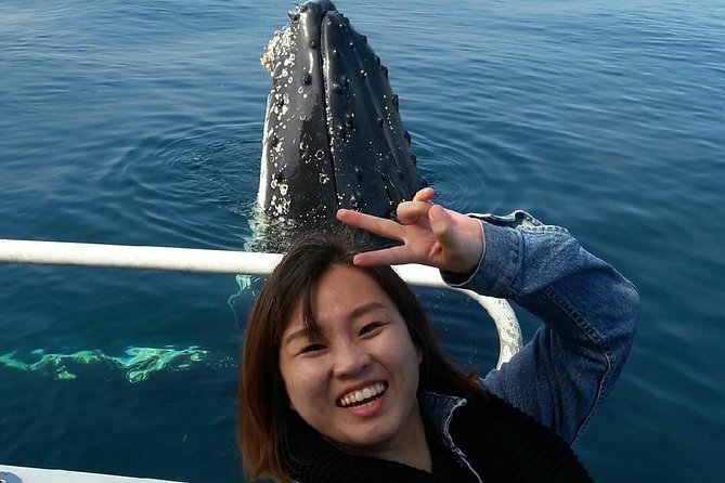 Whale Watching Dunsborough - Why Geographe Bay whale watching feels special from Dunsborough
