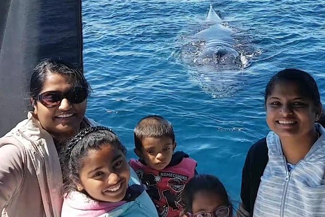 Whale Watching Dunsborough - Timing and getting there: Dunsborough departures and your meeting point