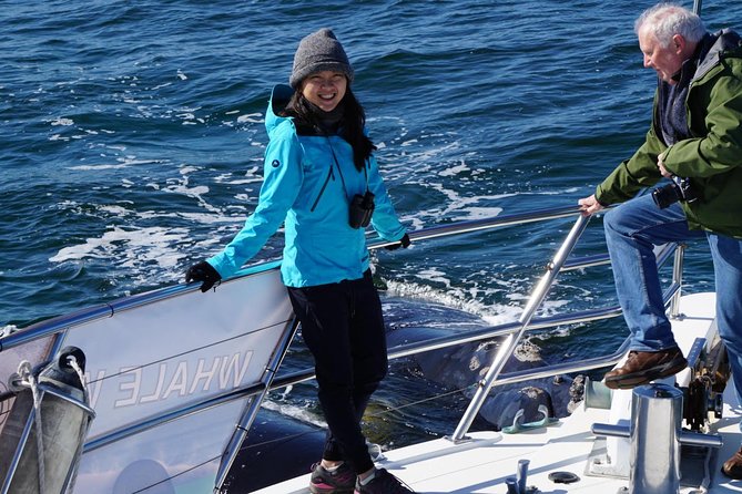 Whale Watching Dunsborough - Practical tips so you get the most from your sighting time
