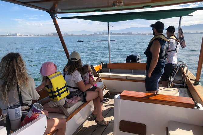 Whale Watching Experience – 4 Hours in Puerto Vallarta - Key highlights worth clocking before you go