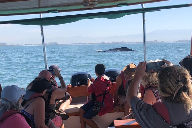 Whale Watching Experience – 4 Hours in Puerto Vallarta - Getting on Bruna: what the Marina Los Peines start feels like