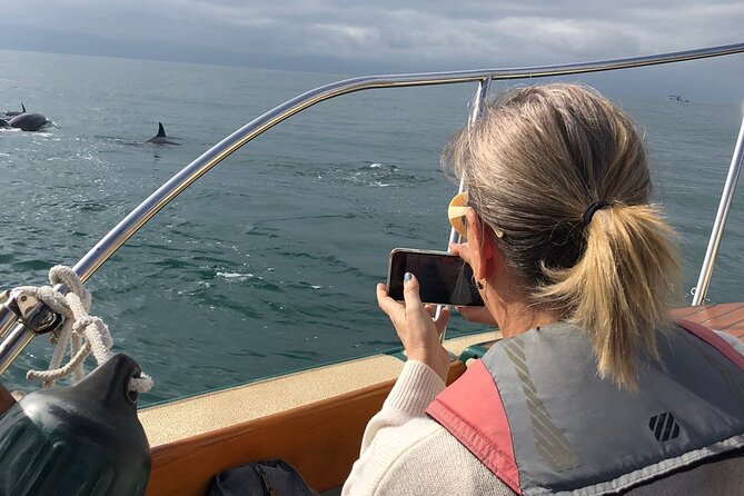 Whale Watching Experience – 4 Hours in Puerto Vallarta - What you might see in the Bay of Banderas